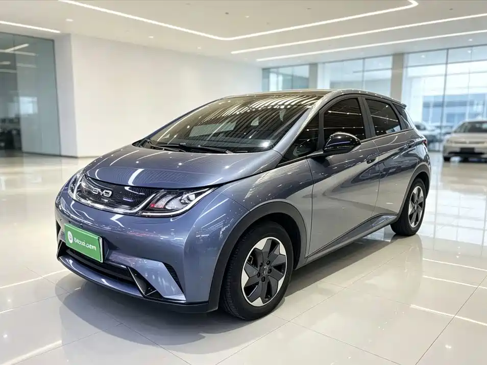 BYD Dolphin — миниатюра 2