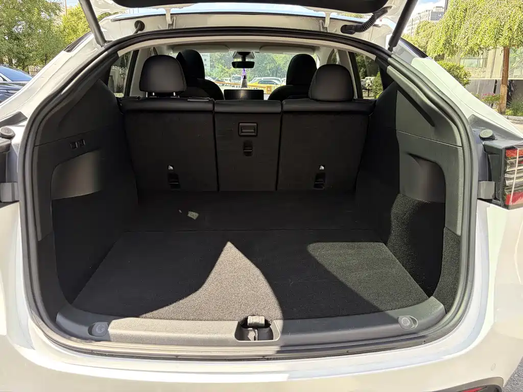 Tesla Model Y — миниатюра 19