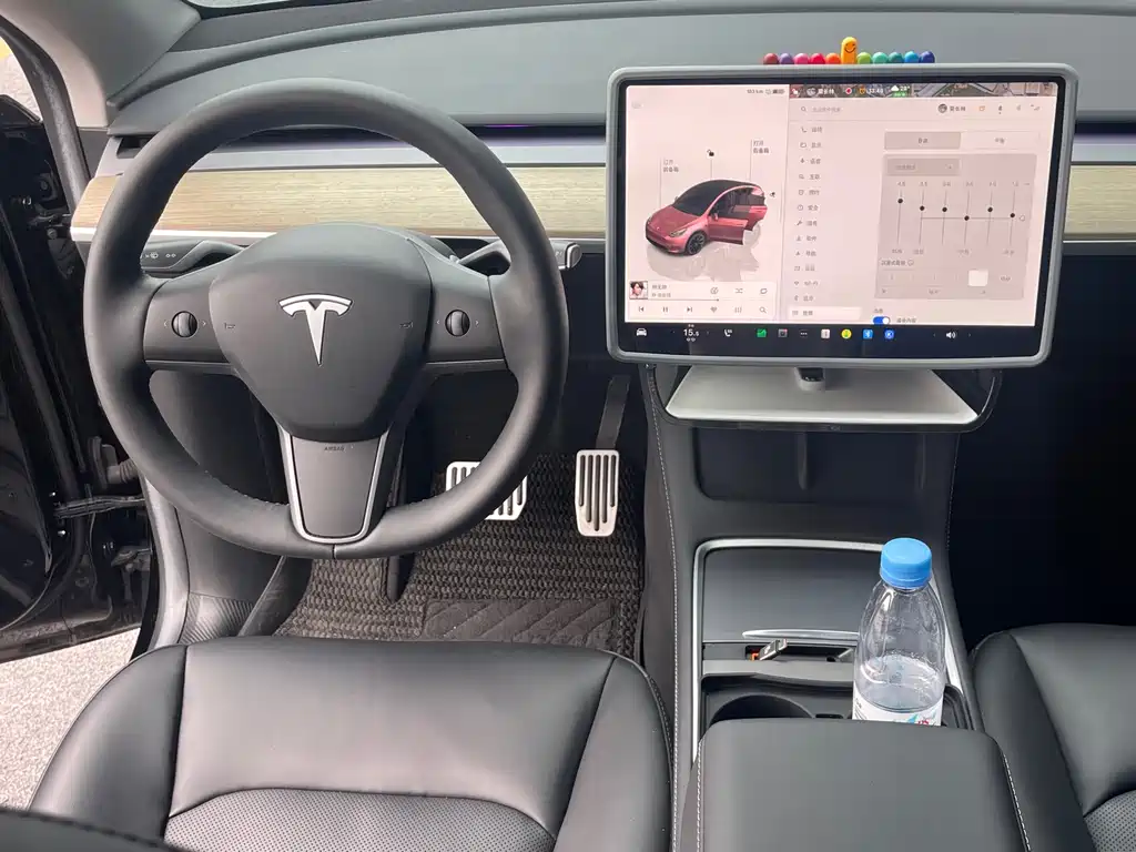 Tesla Model Y — миниатюра 10