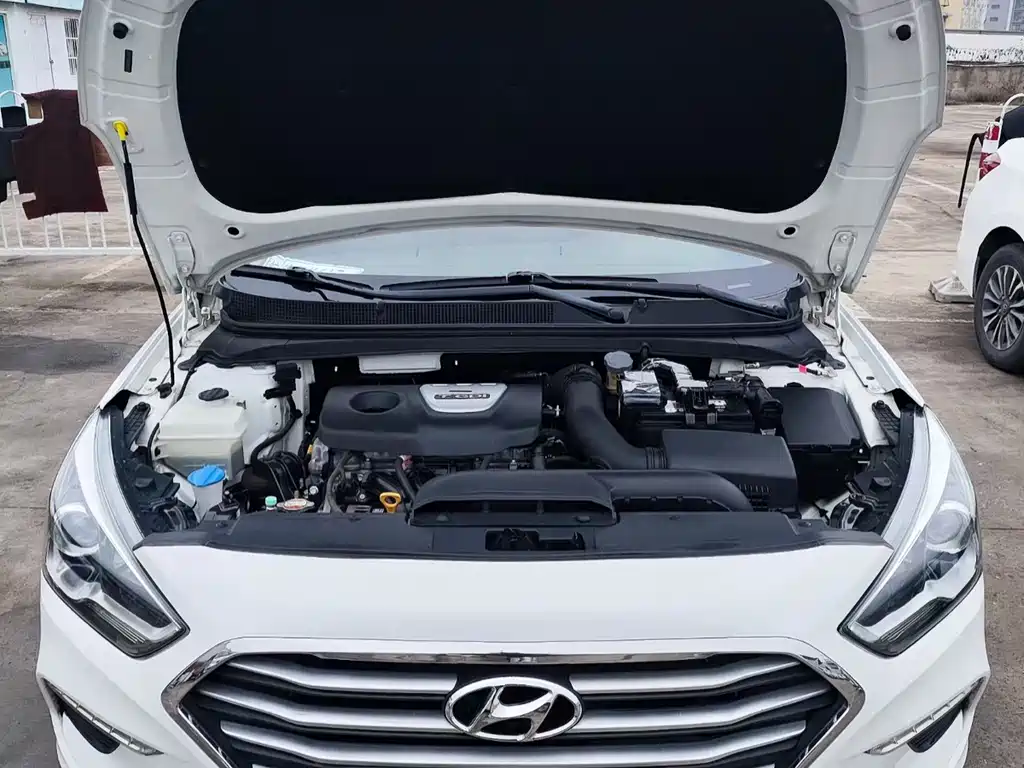 HYUNDAI NAME PICTURE