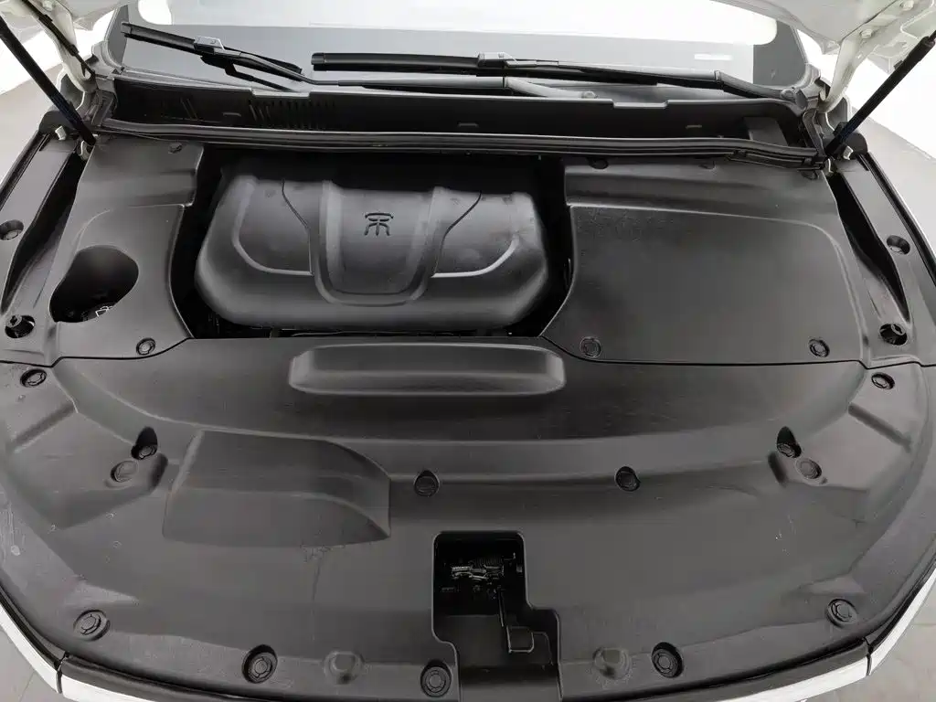 BYD MAX — миниатюра 6