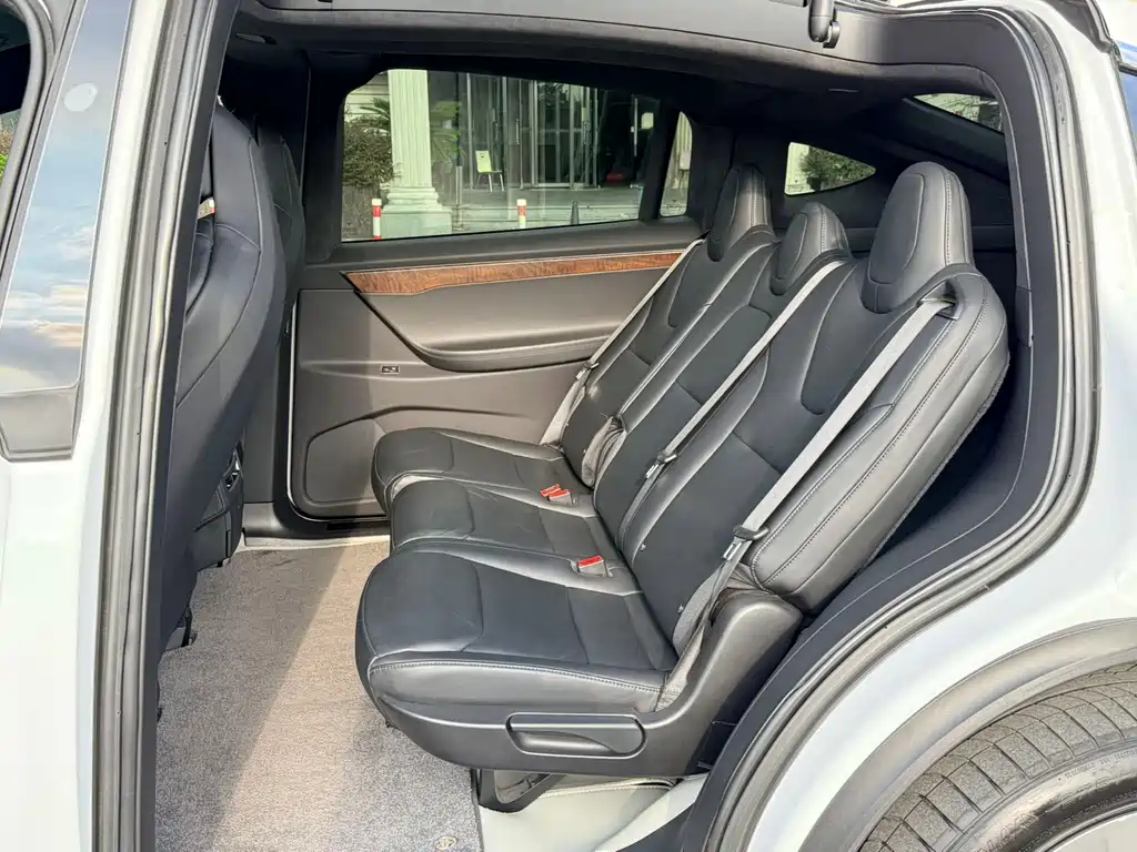 Tesla Model X — миниатюра 14