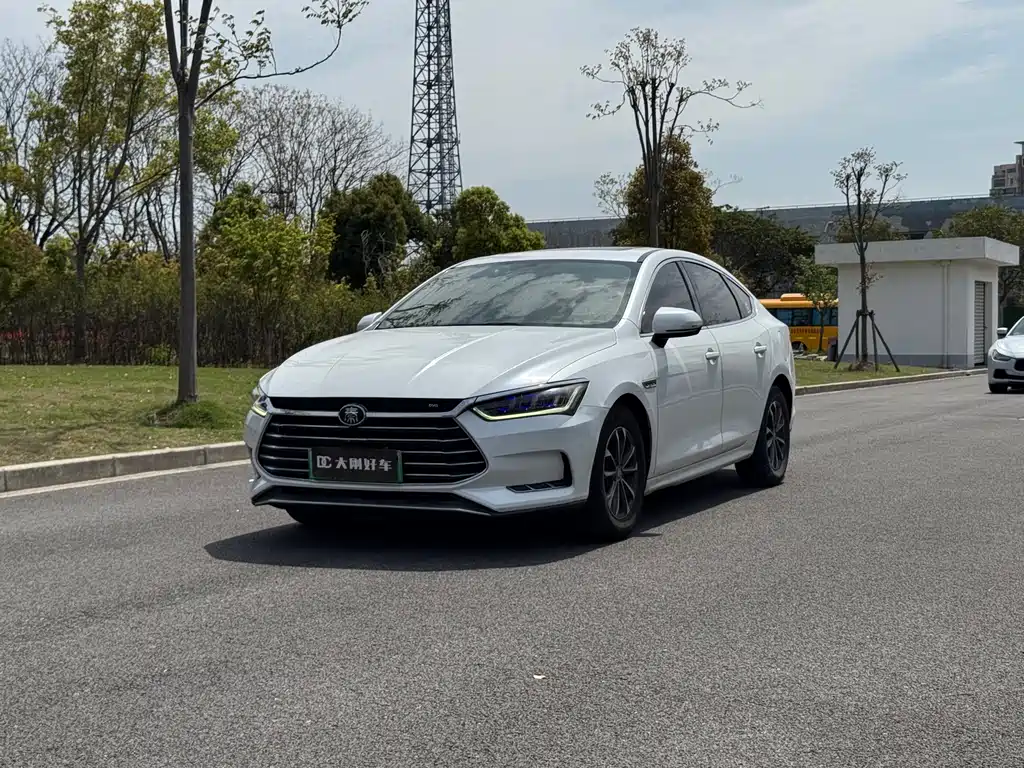 Byd Qin Pro NEV 2020