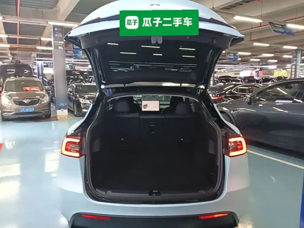 Tesla Model Y — миниатюра 19