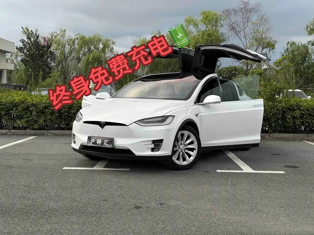 Tesla Model X — миниатюра 2