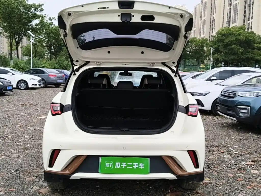 BYD Dolphin — миниатюра 19