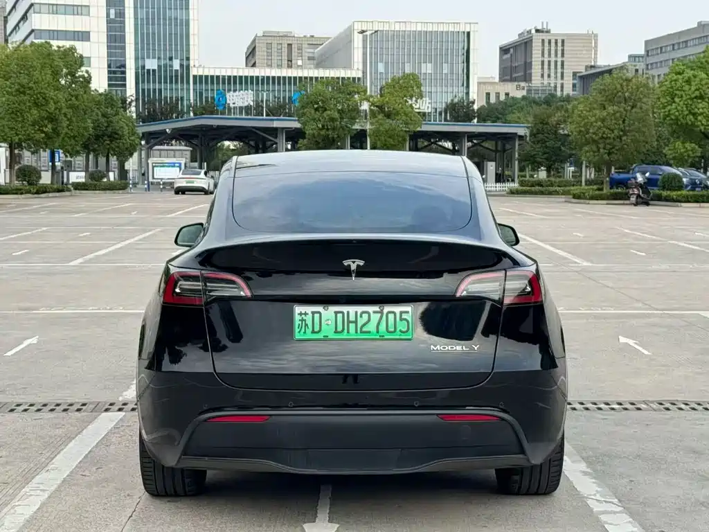 Tesla Model Y — миниатюра 8