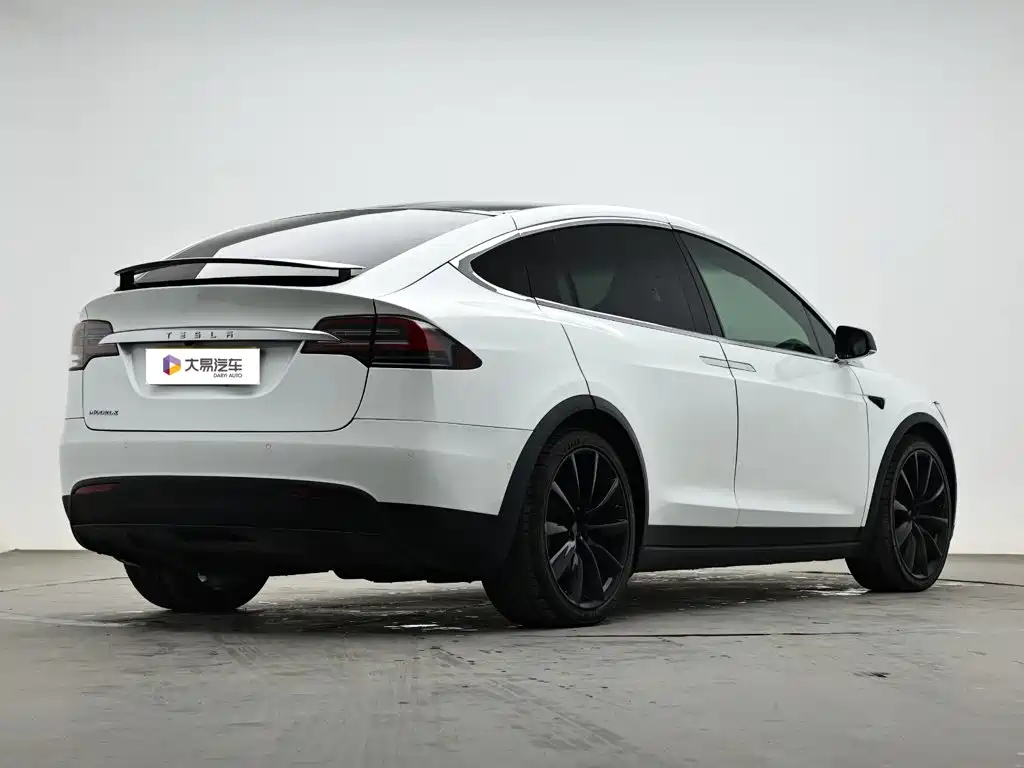 Tesla Model X — миниатюра 3