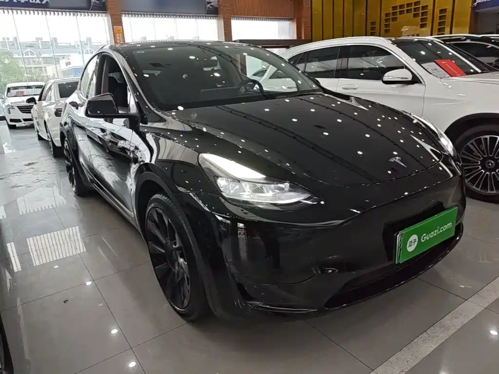Tesla Model Y — миниатюра 4