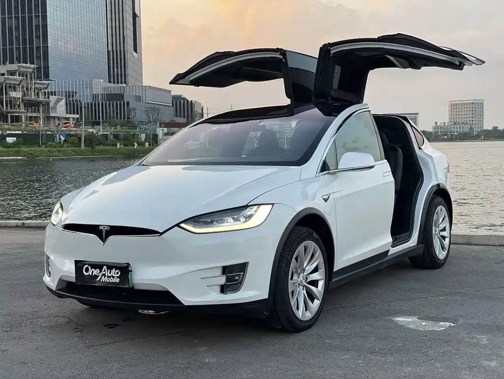 Tesla Model X — миниатюра 5