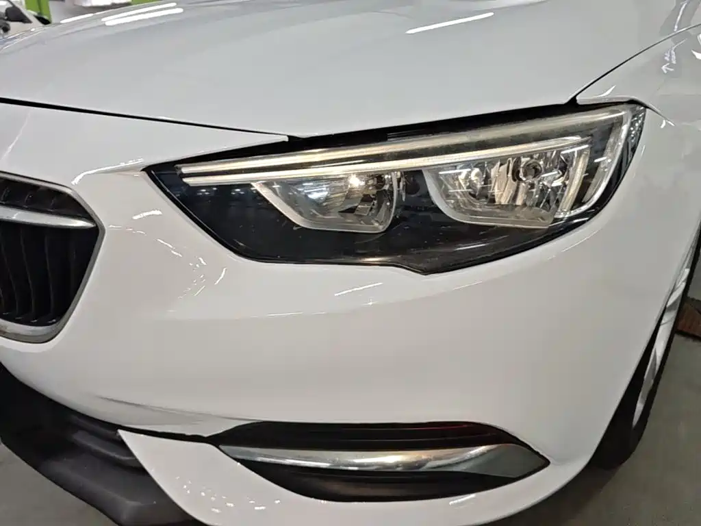 Buick Regal — миниатюра 24