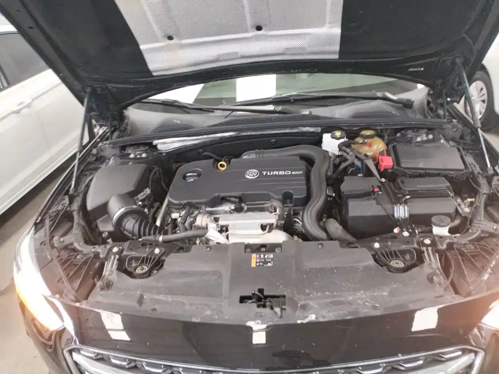 Buick Regal — миниатюра 19