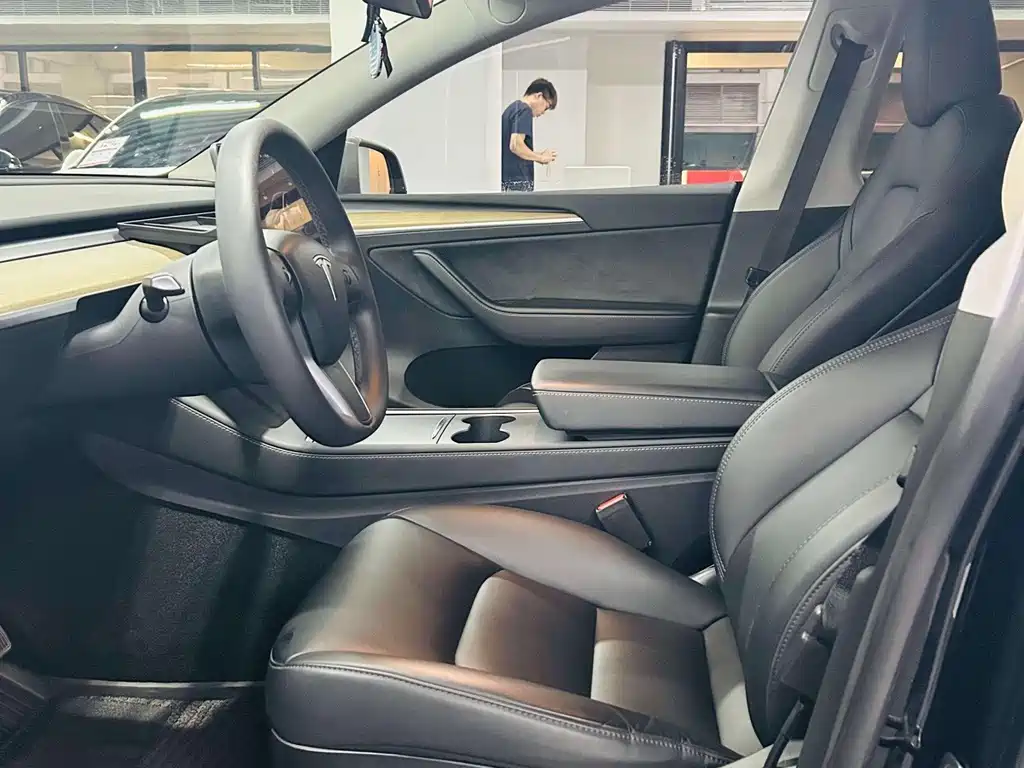 Tesla Model Y — миниатюра 4