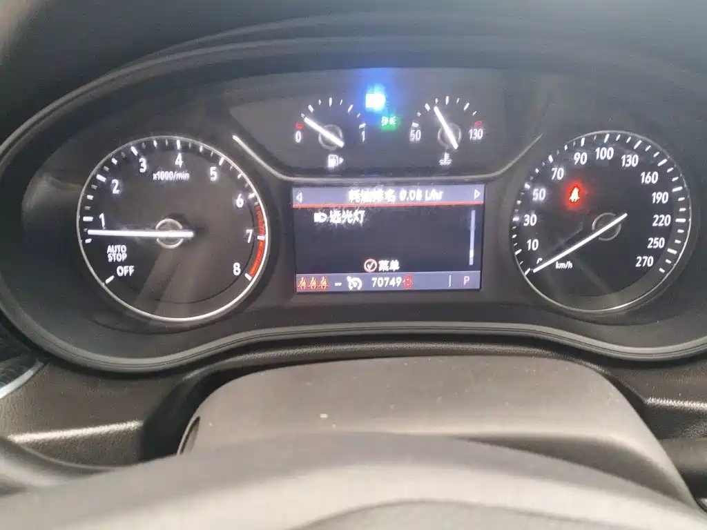 Buick Regal — миниатюра 11
