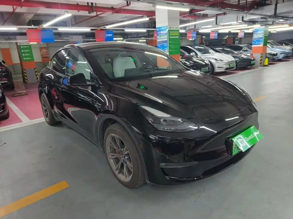 Tesla Model Y — миниатюра 4