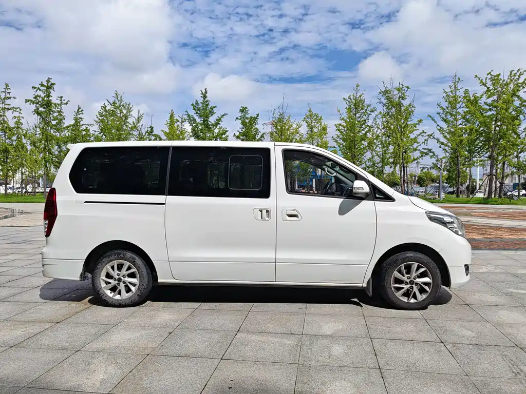 Fengxing Lingzhi PLUS — миниатюра 4