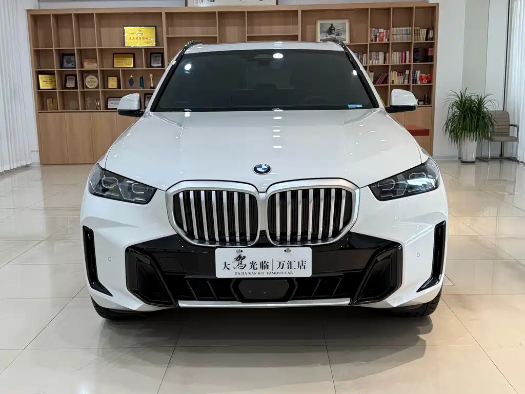 BMW X5 — миниатюра 2