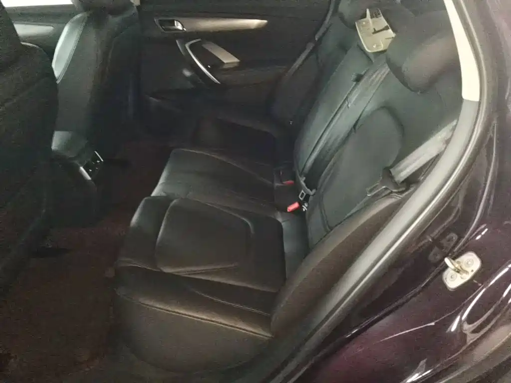 DS DS 5LS — миниатюра 17
