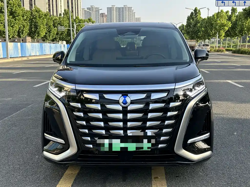 Denza D9 2024 DM-i 970 Luxury