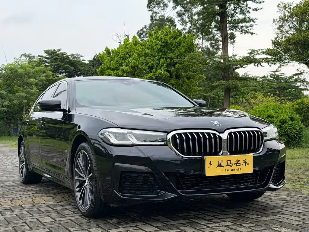 BMW 5 Series — миниатюра 3