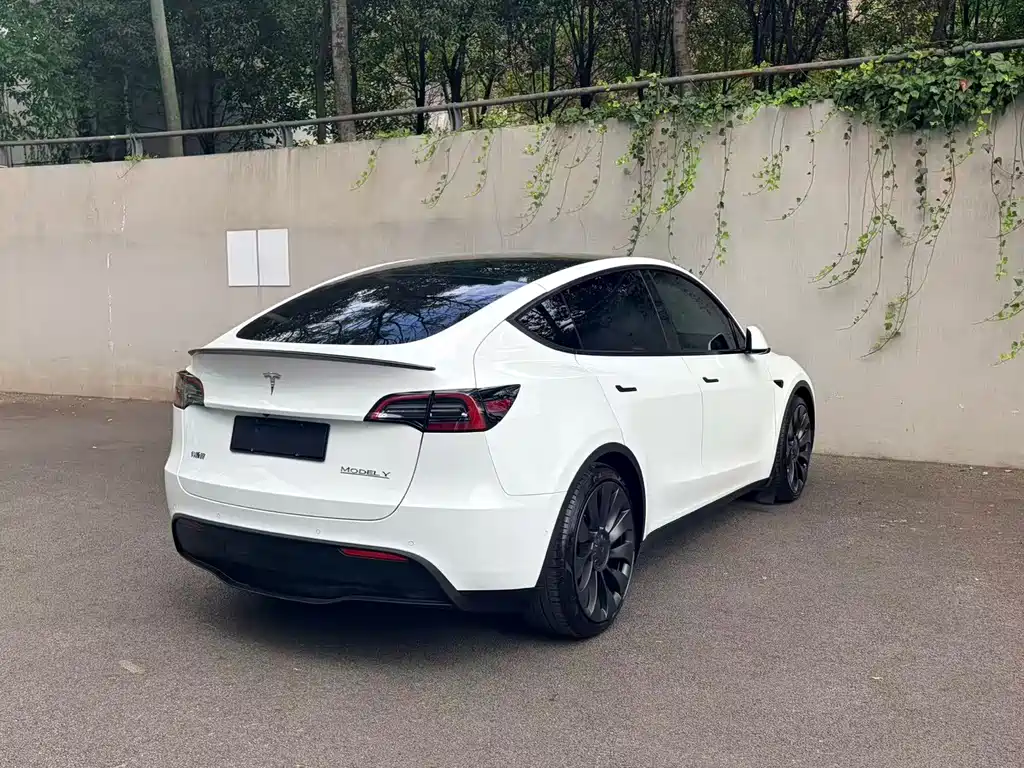 Tesla Model Y — миниатюра 3