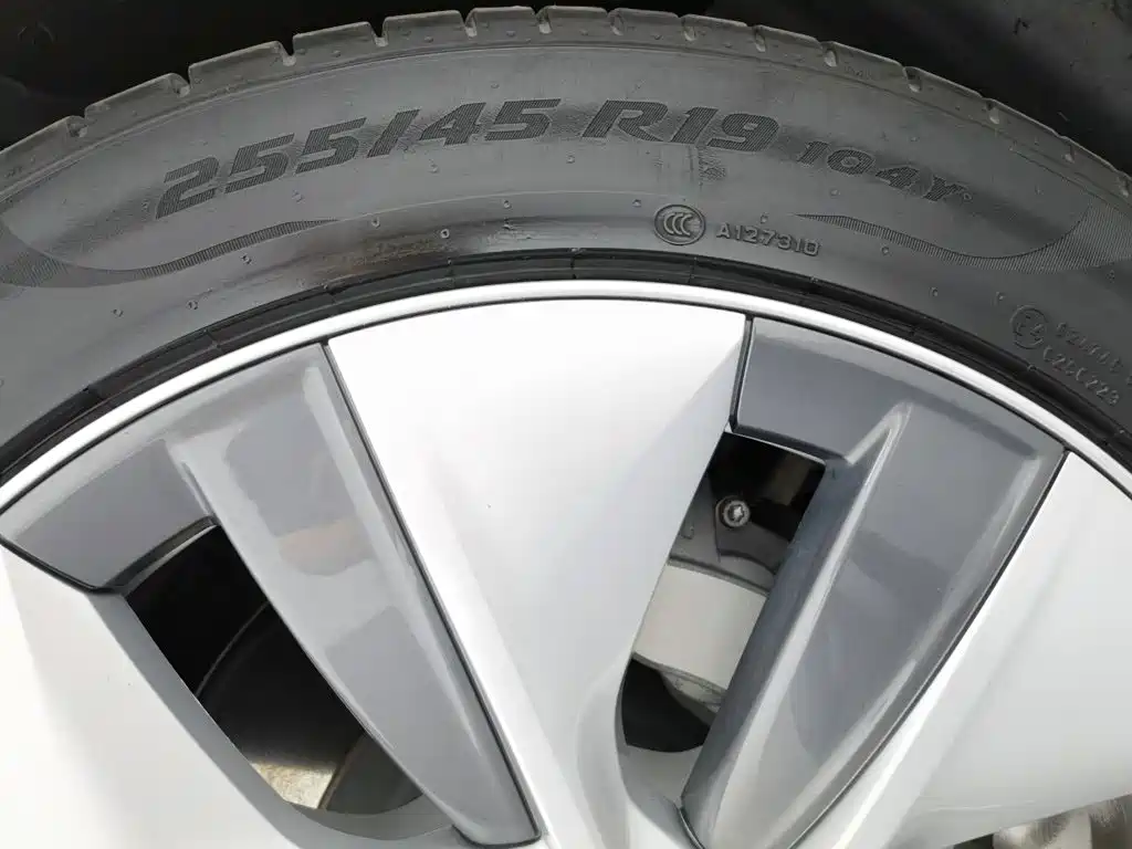 Tesla Model Y — миниатюра 24