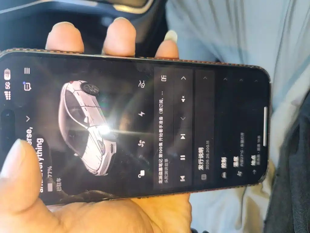 Tesla Model Y — миниатюра 9