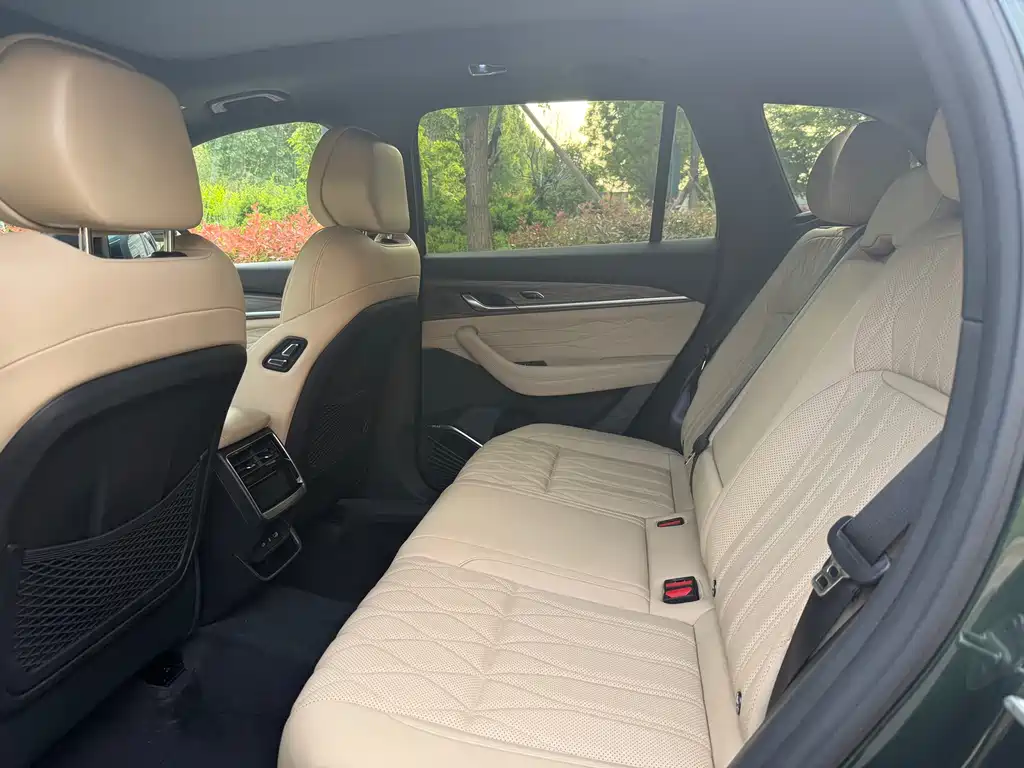 Geely Xingyue L Oriental Brilliance 2.0TD Auto 4WD Moon Gaze Edition, фото 9