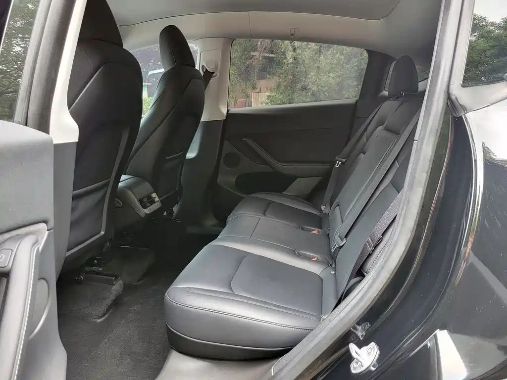 Tesla Model Y — миниатюра 10