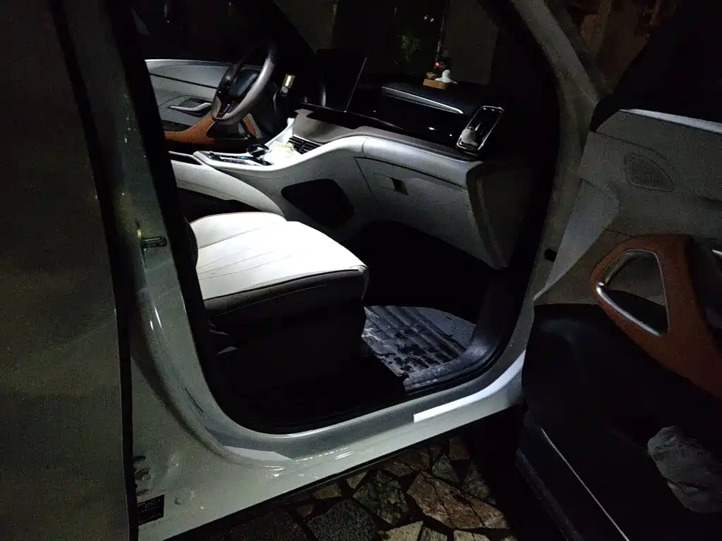 BYD Pro New Energy — миниатюра 19