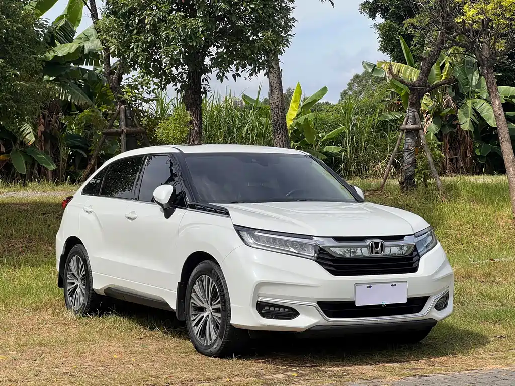 Honda Avancier — миниатюра 3