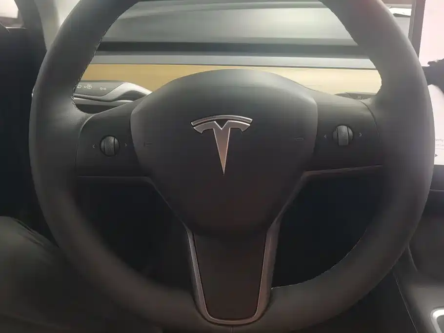 Tesla Model Y — миниатюра 15