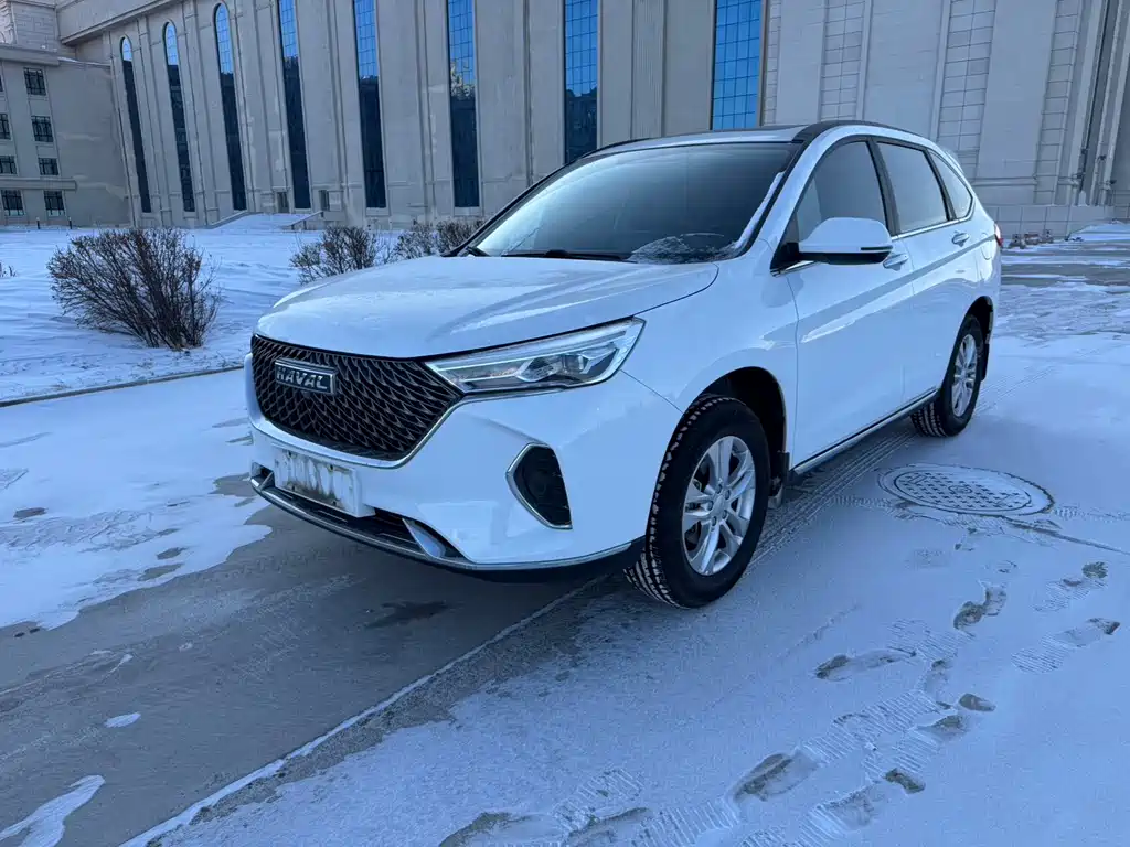 HAVAL M6