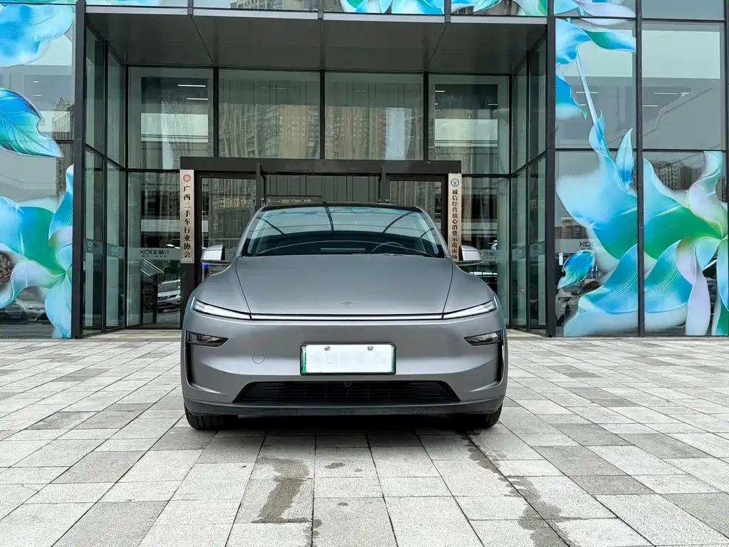Tesla Model Y — миниатюра 2