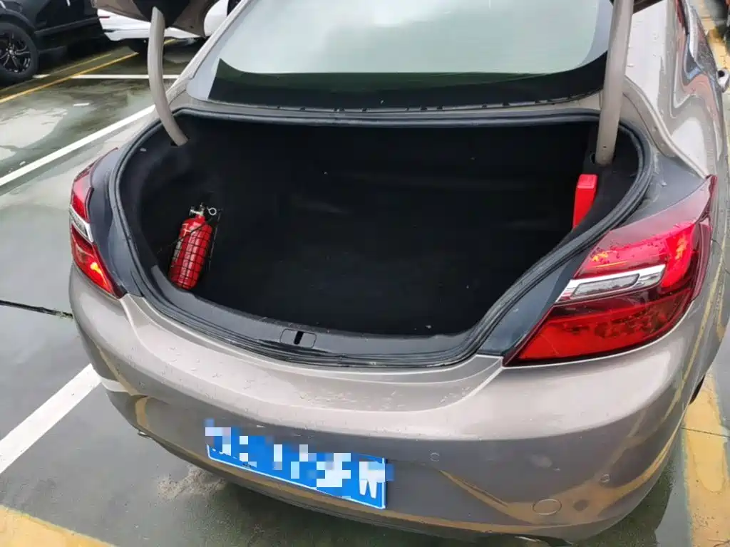 Buick Regal — миниатюра 19