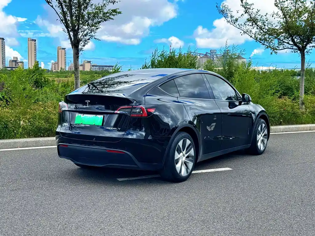 Tesla Model Y — миниатюра 9
