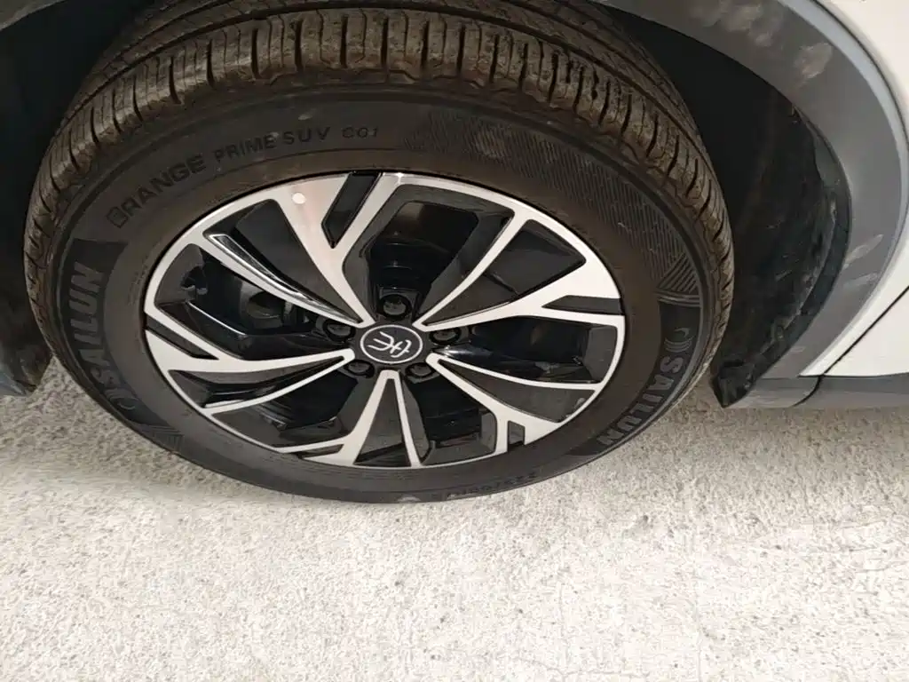 BYD Pro New Energy — миниатюра 23
