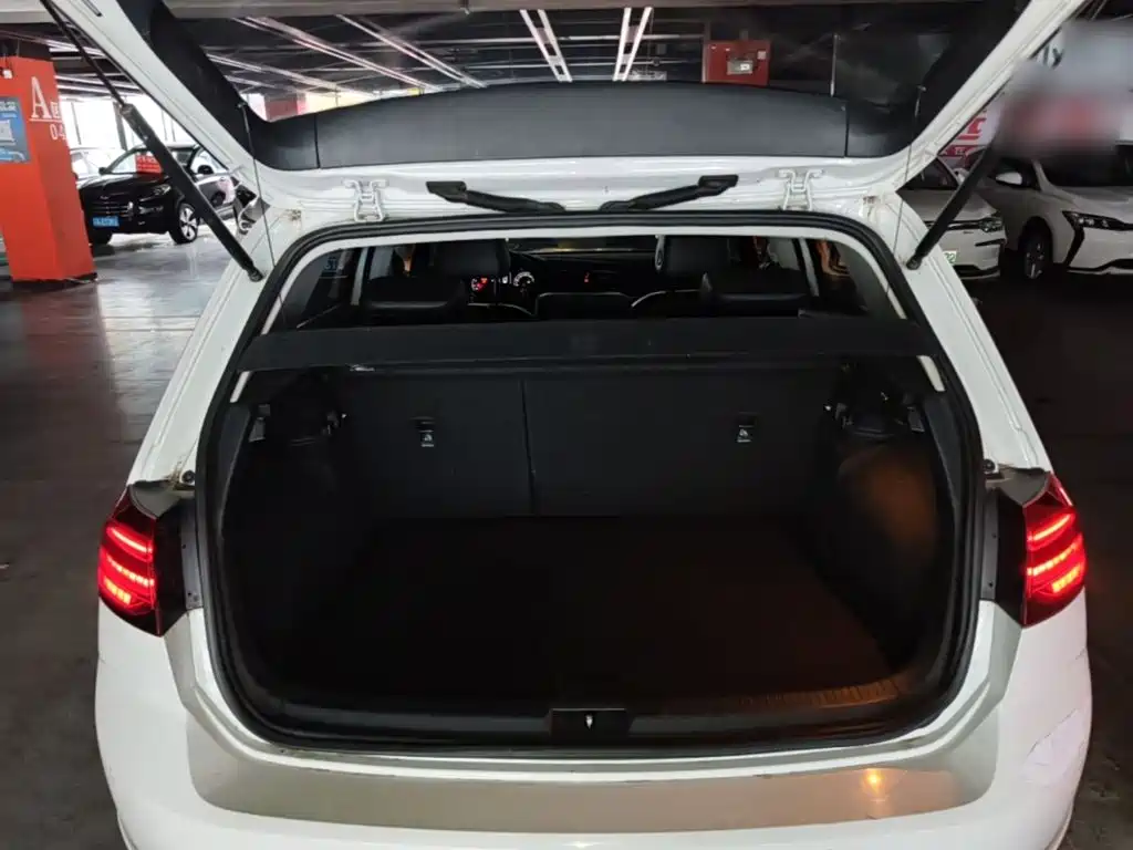 Volkswagen Golf — миниатюра 19