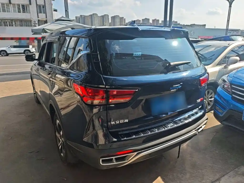 Oshan Oushang Kosai Pro — миниатюра 5