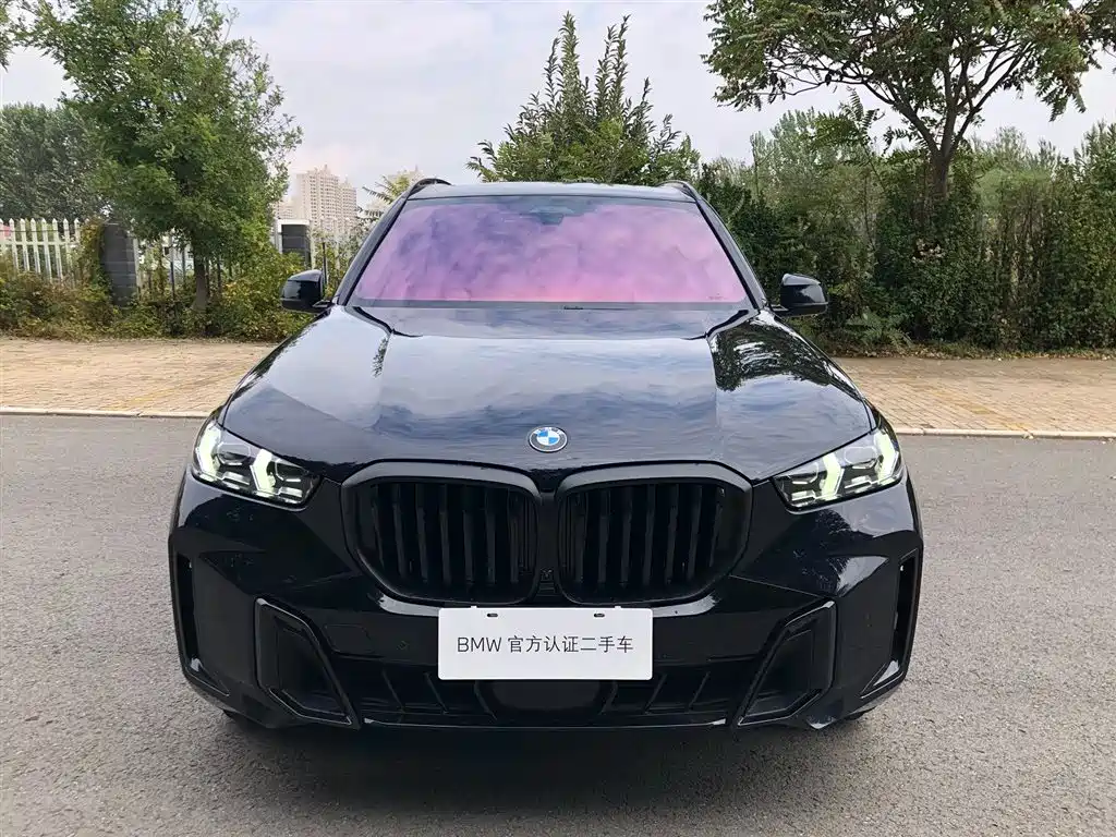 BMW X5 — миниатюра 2