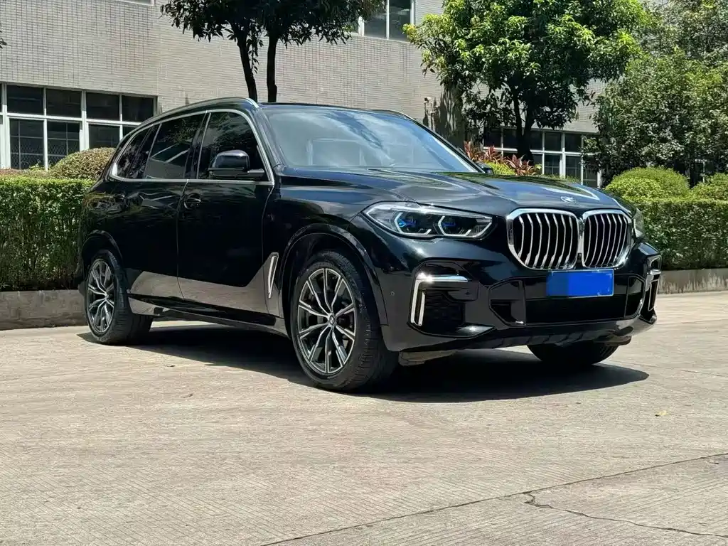 BMW X5 — миниатюра 3
