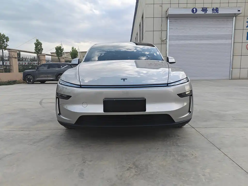 Tesla Model Y L — миниатюра 2