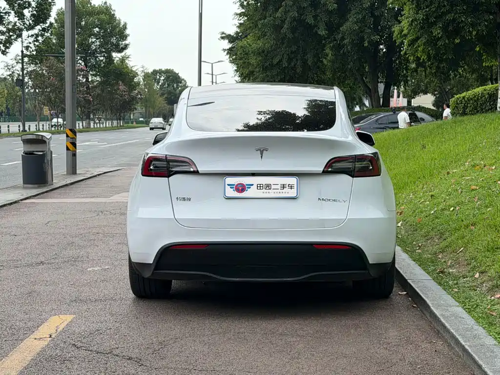 Tesla Model Y — миниатюра 5