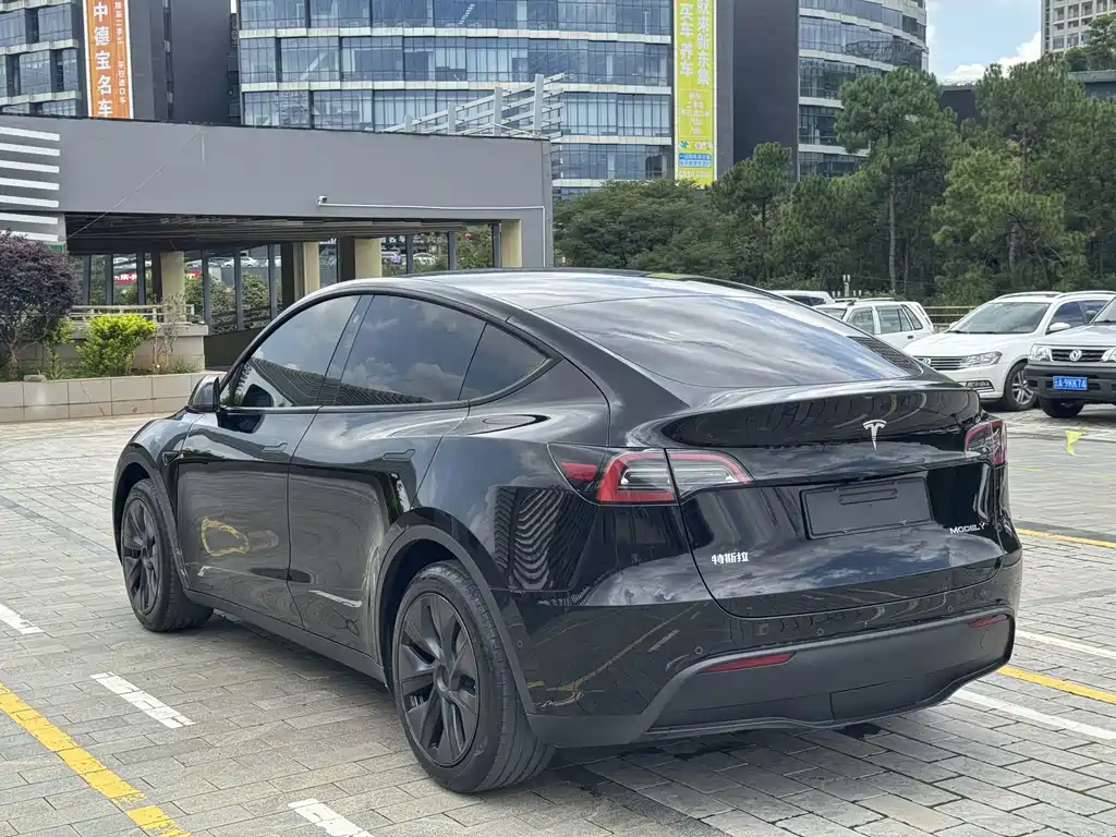 Tesla Model Y — миниатюра 8