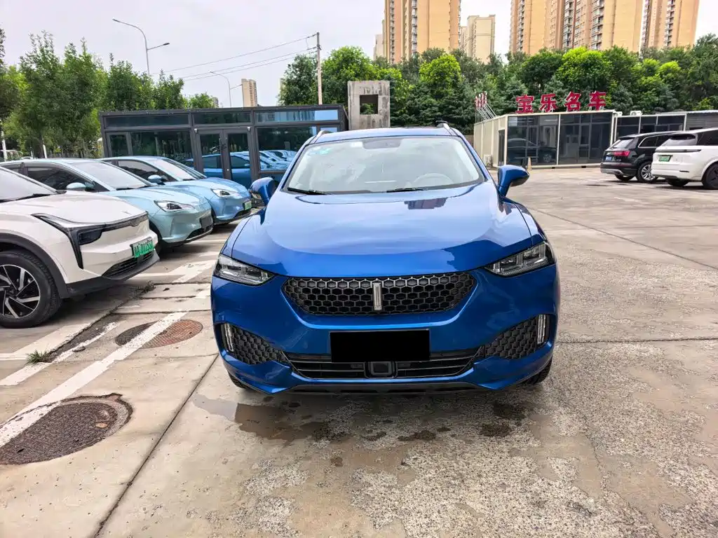 Wey Wey VV7 — миниатюра 2