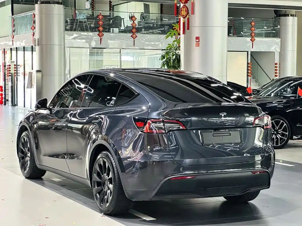 Tesla Model Y — миниатюра 7
