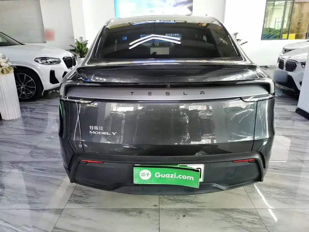 Tesla Model Y — миниатюра 6