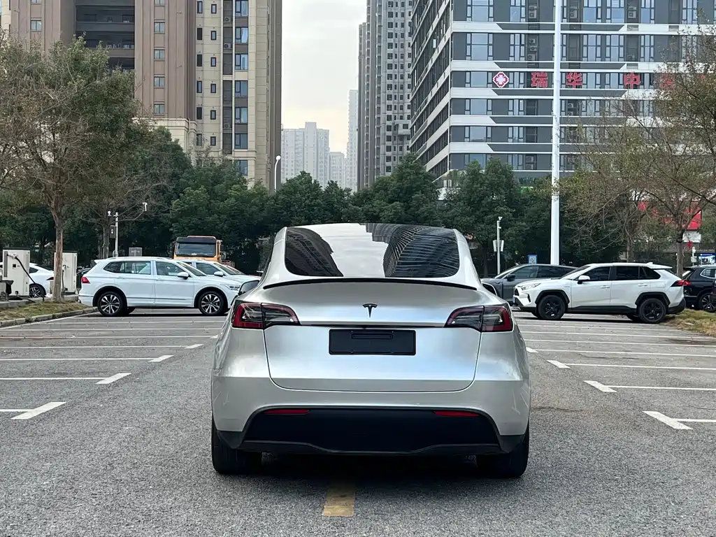 Tesla Model Y — миниатюра 5