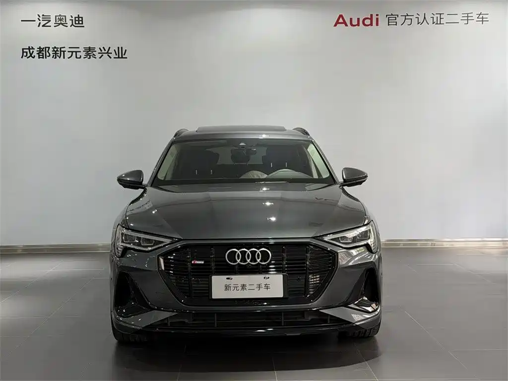 Audi e-tron — миниатюра 2