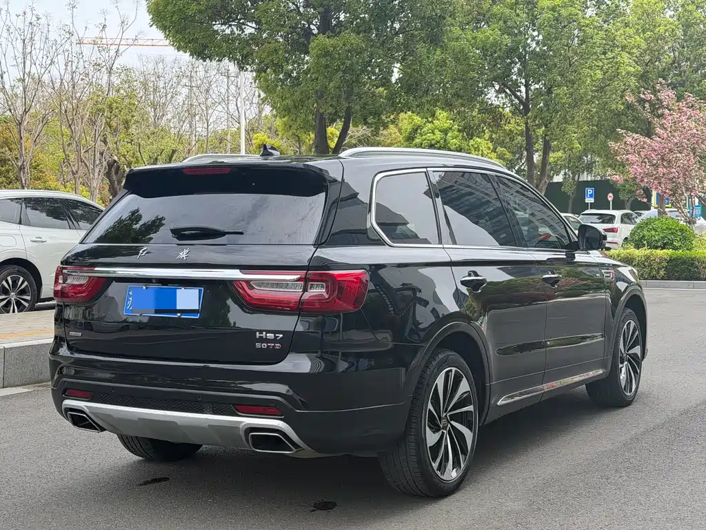 Hongqi HS7 3.0T Auto 4WD Connected Flagship Smooth Edition, фото 6